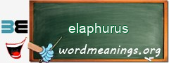 WordMeaning blackboard for elaphurus